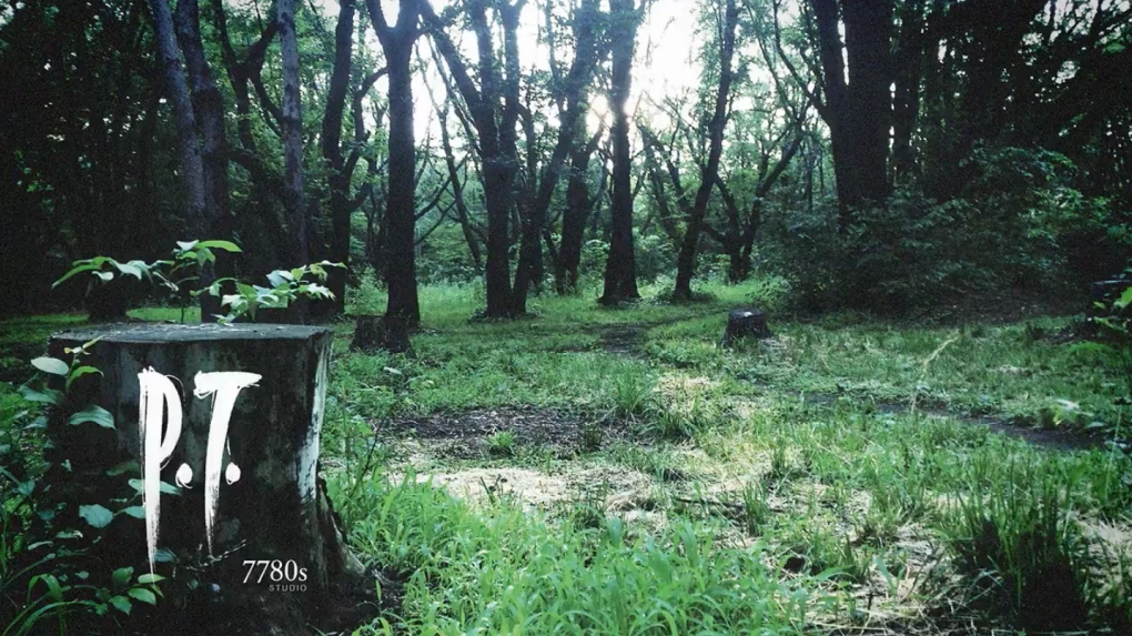 弩哥Ins新瞎眼视频 内含《寂静岭》角色兔子罗比