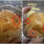知名蛋黃酥慘發霉！店家強硬「霉幾顆換幾顆」　聽到衛生局秒慫：退全額